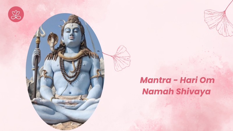30 - Mantra - Hari Om Namah Shivaya avec Sandrine Entraygues